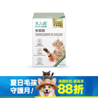 木入森 貓咪有關膝 30顆｜貓咪關節保健食品【短效期買1送1】